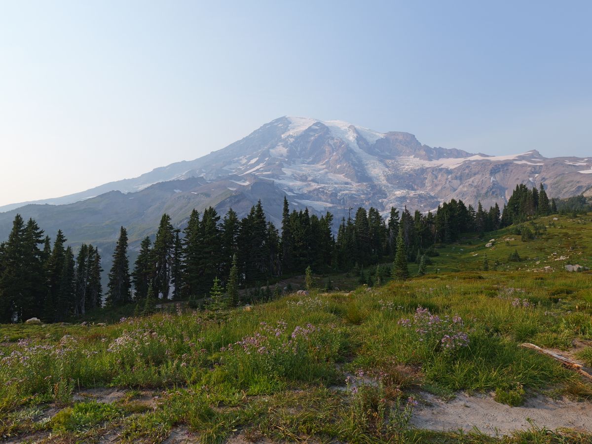 Mount Rainier rising above the Washington South Sound landscape