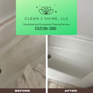 Best Cleaning Services